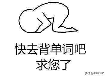 免费的背单词APP哪个好,你能推荐一下吗？