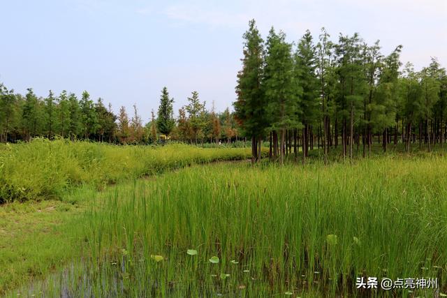 郑州有山有水免费景点 在郑州有哪些景点比较好玩插图10