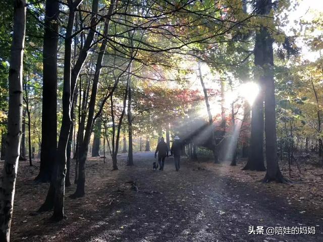 只想跟你玩亲亲:如果女生只想和你做朋友，你还会坚持下去吗