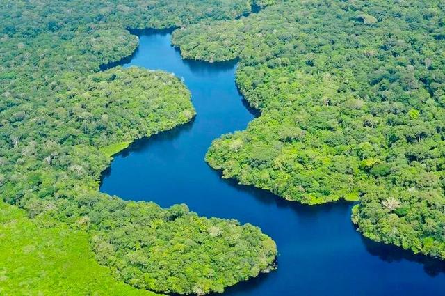 上海熱帶雨林按摩服務:被稱為地球之肺的亞馬遜熱帶雨林，到底有多可怕