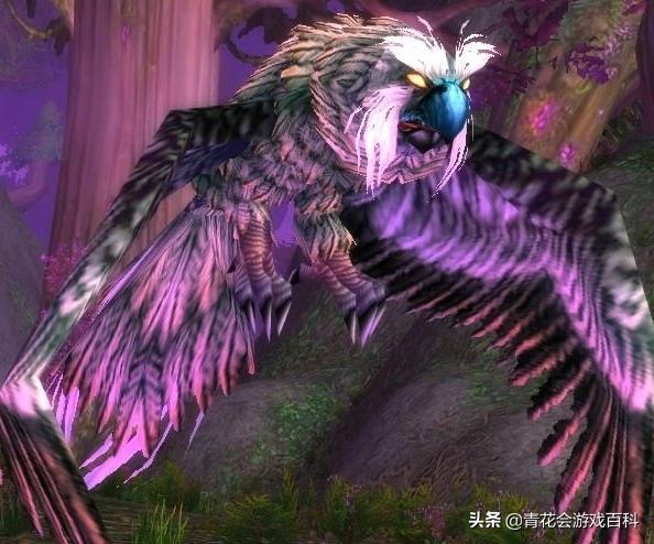 魔兽世界怀旧服猎人多少级换宝宝？有何攻略？