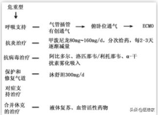 ecmo是什么意思?emo是什么意思