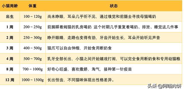 小花猫喵喵叫:人靠近或看向猫时，猫的叫声是什么意思？