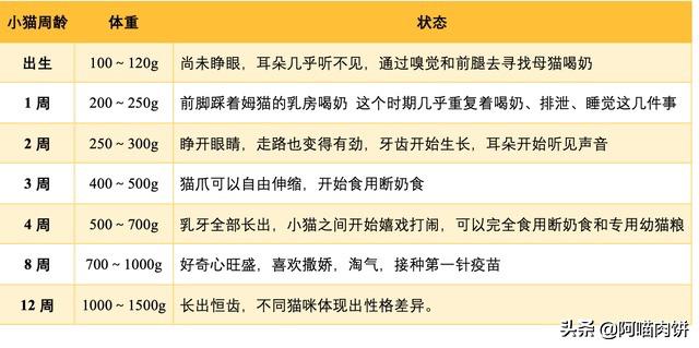 小花猫喵喵叫:小花猫喵喵叫是什么歌 求助，刚捡回来的一个月的小猫吃饱了也叫？