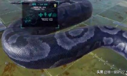 方舟仙境雷龙吃什么:方舟生存进化泰坦巨蟒怎么驯服？