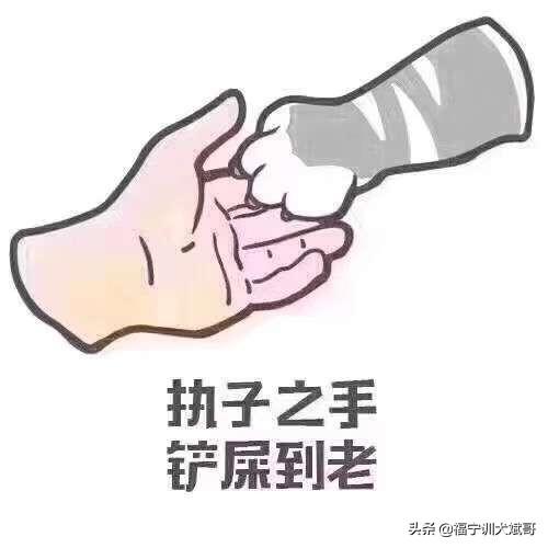 怎么训练狗接球:怎么训练狗狗捡球？它每次捡了球回来都不肯轻易把球给我？