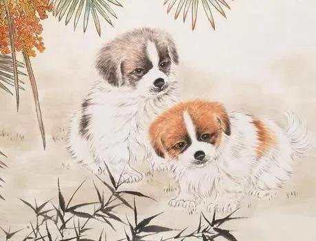 人与狗的历史:狗是伴侣动物，下这个结论的人有资格代表人类吗？