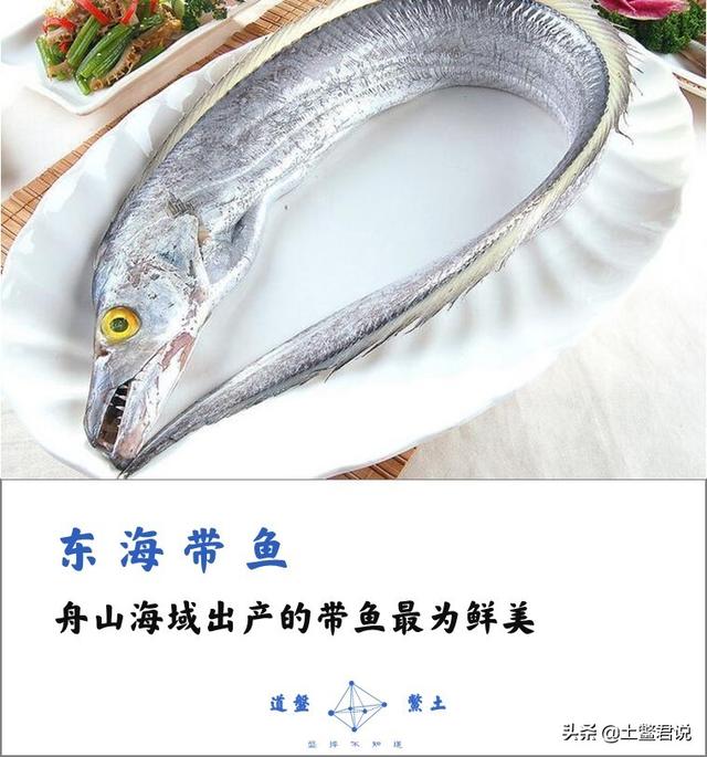 龙趸王:中国四个海哪个海里的海鲜好吃，为什么