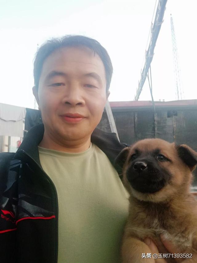 可爱小小时尚狗的照片:你手机里有可爱狗狗的照片么？发出来看看？ 可爱小白狗的照片