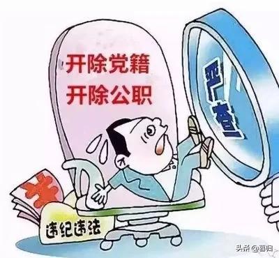 高仿大专毕业证(高仿大专毕业证好用吗)插图4