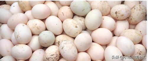 季节不同变蛋时间也不同吗，单独纯碱可以做变蛋吗该怎么做