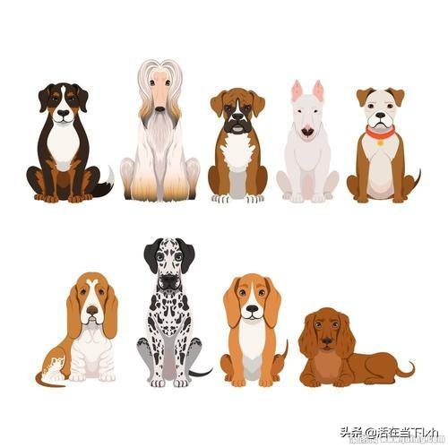 美女与大黄狗:7月30日，英国一名49岁女模特决定嫁给狗。你怎么看？