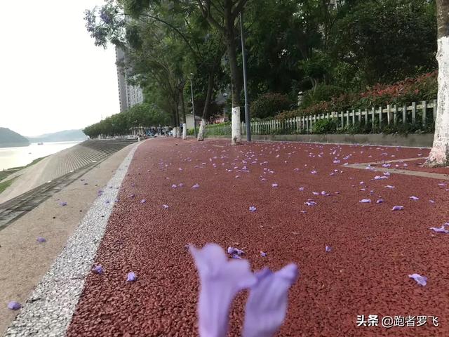 正确的跑步减肥方法(正确的跑步减肥方法慢跑的正确方法)