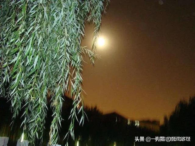 皓月当空,你能想到哪些有关于明月的诗句呢？