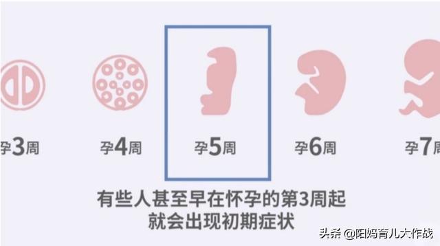 悟空问答 刚怀孕的时候会有哪些症状 228个回答