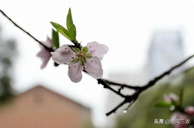 2021年有什么奇怪现象，为什么2021年的美国还存在“种族歧视，大暴乱事件”