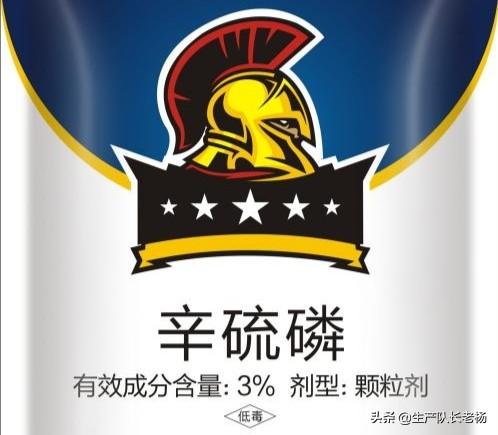 玉米地蚜虫怎么防治:玉米结果期有钻心虫怎么治？