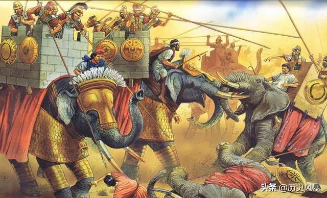 头条问答 - 罗马斗兽场上场过哪些猛兽?(17个回答)