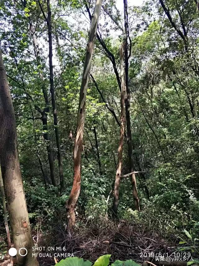 你的女友不让你看她的手机,她说每个人都有自己的隐私,你还会和她在一起吗？