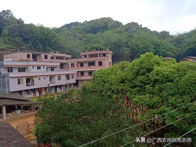 在你眼中,三农问题都是些什么？