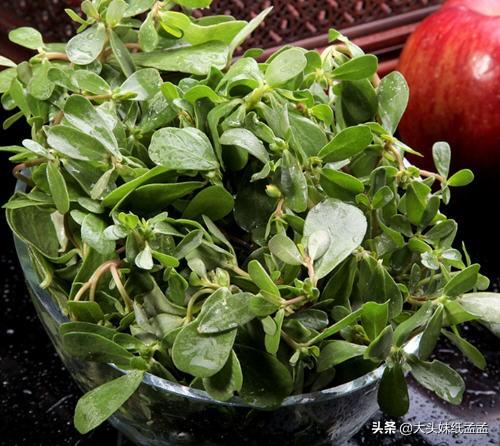 养心菜为什么吃起来有点酸有点苦？
