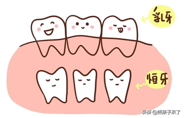 牙齿驻掉了一半怎么办:孩子满六岁了有一颗牙，坏了一半可以不补吗？
