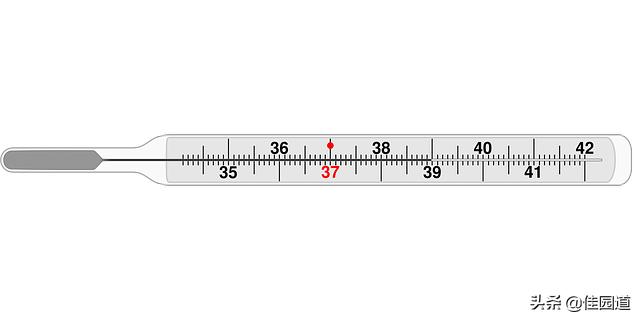 新型肺炎体温多少算正常:发烧不咳嗽会是新型肺炎吗？
