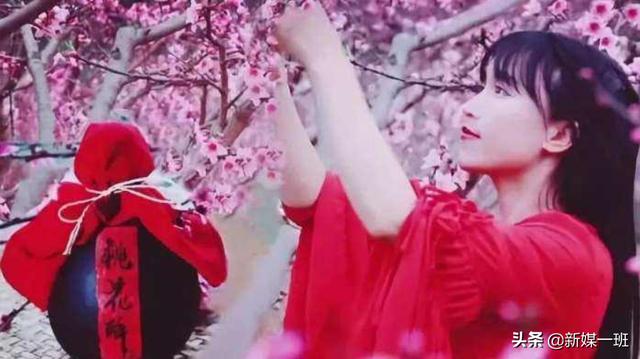 李子柒春日鲜花宴全程，李子柒火只是因为她拍的视频比较唯美复古吗