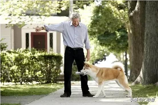 忠犬小八电影:如何评价电影《忠犬八公》？