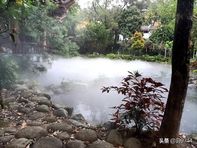 惠州拳师狗:为什么狗狗面对来自主人的伤害不是反抗，而是选择逃跑和依顺？ 拳师狗是什么