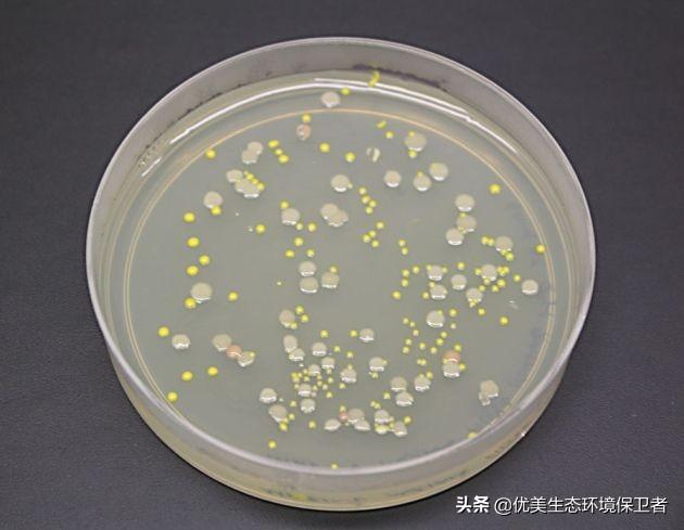 水中谜影 猎塔湖:南京一女子趁同伴系鞋带时推她入水，双双溺亡可能是由于什么恨？