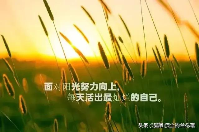 所有的坏情绪:你有坏情绪吗？那些不好的情绪出口在哪里？