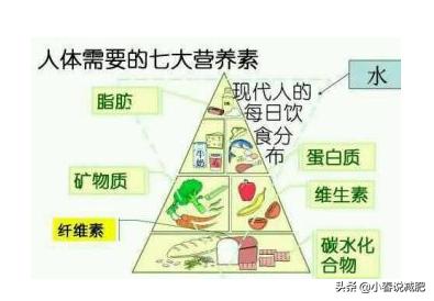 健康饮食减肥食谱(健康瘦身的减肥食谱)