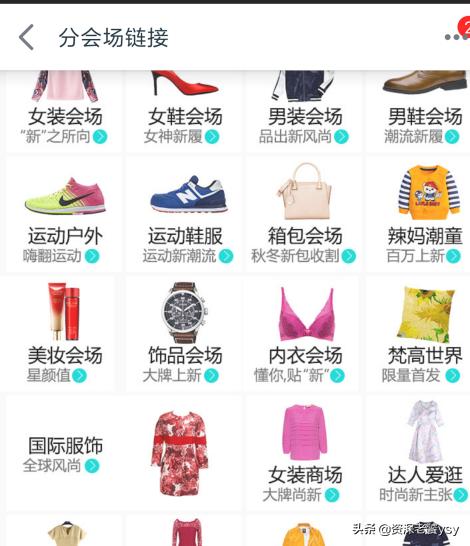 猫咪猎手vr手机游戏:为什么有的猫咪明知道你是在用逗猫玩具逗它，它还是那么配合？