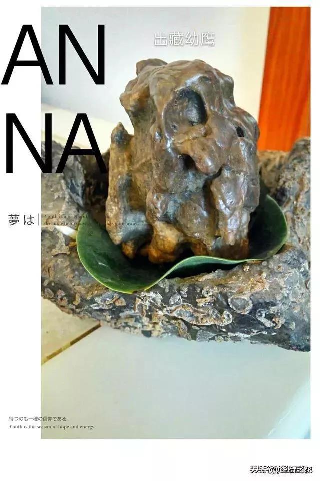 天然大化石原石图片,中国最具影响力的天然奇石有哪些？