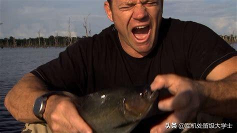 有多大的食人鱼图片:食人鱼最长可以几天不进食？为什么？