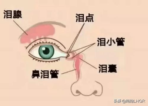 儿童泪腺炎的症状:儿童泪腺炎症状是什么 宝宝最近总是眼泪汪汪的，还有浓眼屎，是上火了吗？