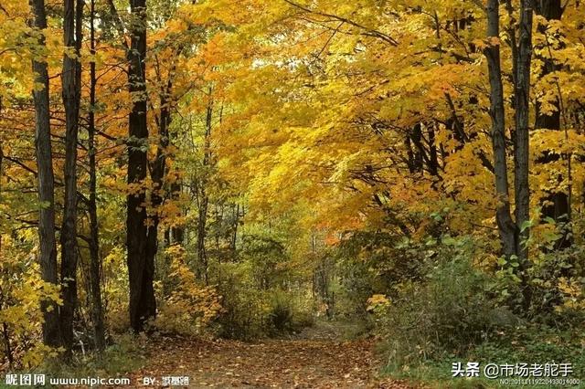 为什么有人说没钱才更需要创业,那么没钱又怎么创业呢？