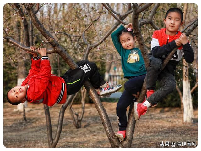 带宝宝脾气不好怎么办:我一个人带只有两岁和三岁的孩子，我经常打骂他们，怎么办？