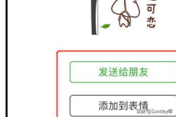 微信里哪里可以搜索表情包