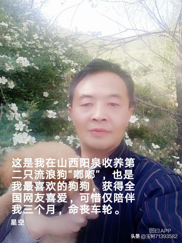 人狗情缘:在人类审美支配下的狗子，过的好吗？ 人狗情缘电视剧在哪个台播放