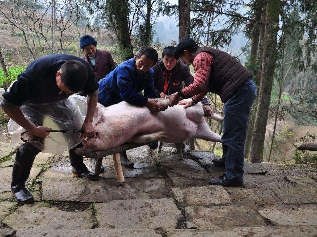 百姓网虎林古牧狗:今年疫情影响，为什么做什么都这么难做，很多人去外地又回来了？