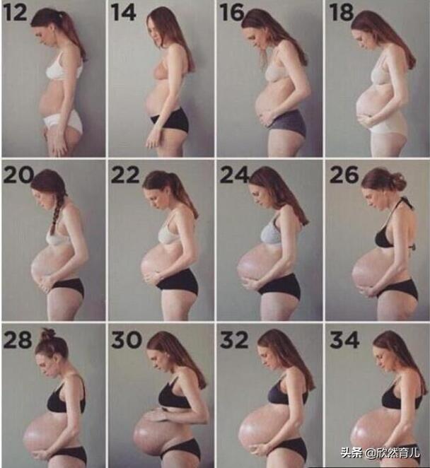怀孕几个月肚子才会显怀，四个半月，孕妇肚子显吗，几个月开始显怀呢