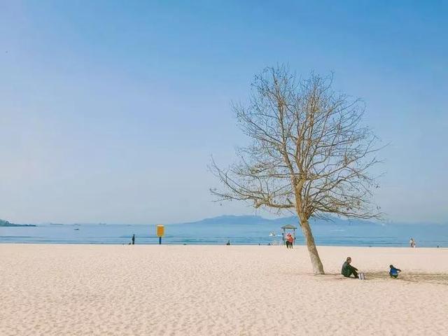 彭于晏和白百合:青岛毕业旅行最值得去的地方有哪些