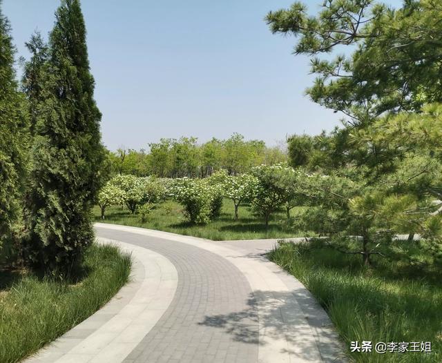 年轻人工作微信头像:为什么很多中年男人微信头像是蓝天白云，大海绿植这是什么心理(<a href=https://maguai.com/personal/ target=_blank class=infotextkey>微信号</a>头像蓝天白云卡通)