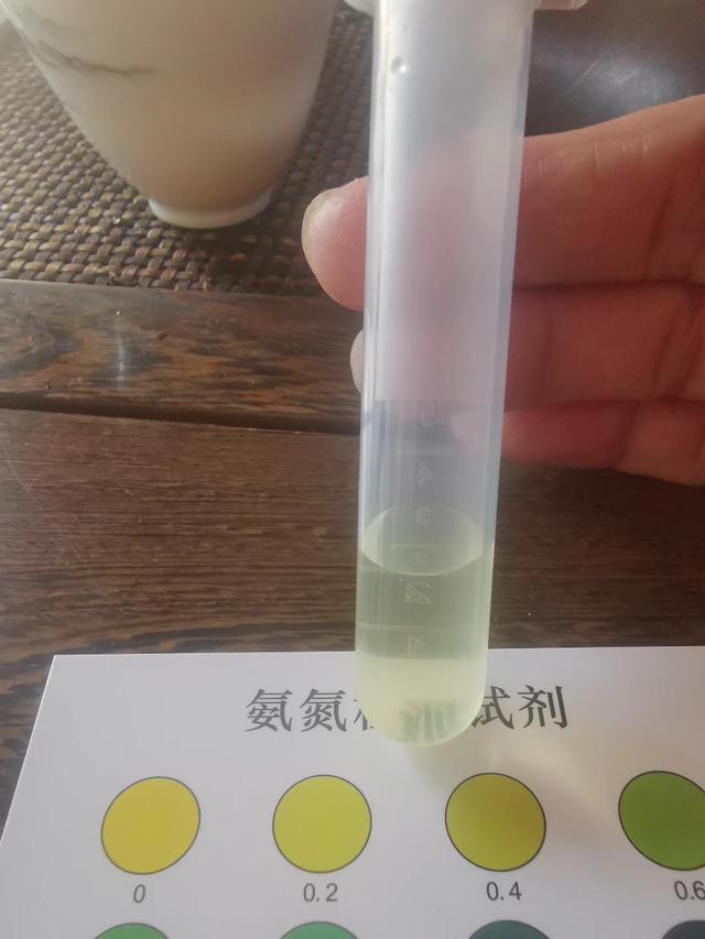 养鱼有什么讲究，养鱼有哪些需要注意的技巧？