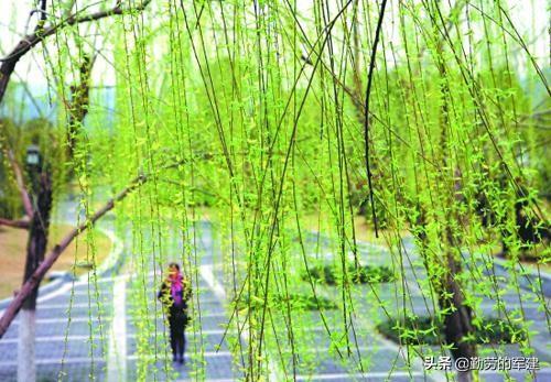 环境描写,有哪些写到极致的环境描写？