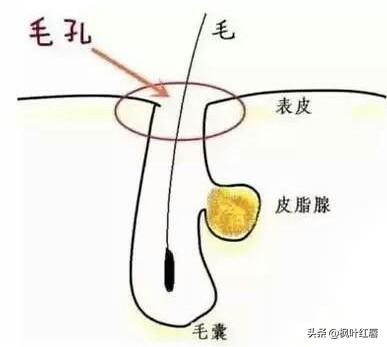 非离子洗面奶有哪些，哪些“洗面奶”成分特别刺激，用久了脸上痘痘，毛孔粗大严重呢