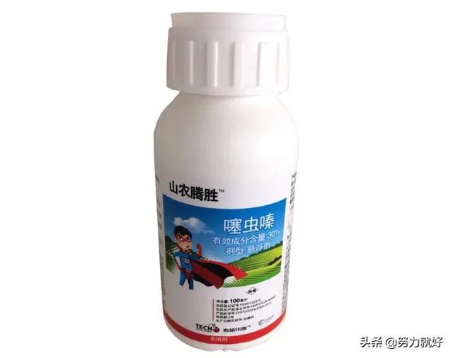 玉米地蚜虫怎么防治:玉米现在病虫害应该怎样防治？