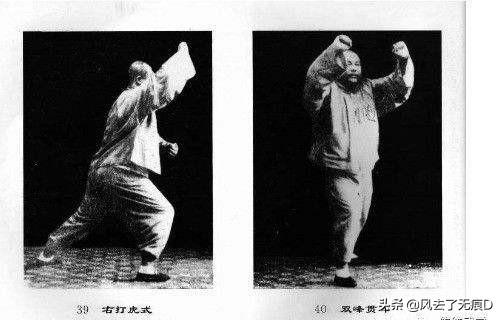 如何训练狗中枪倒地:如何训练泰迪狗 攻击敌人的什么位置可以立刻将其击倒或击晕？